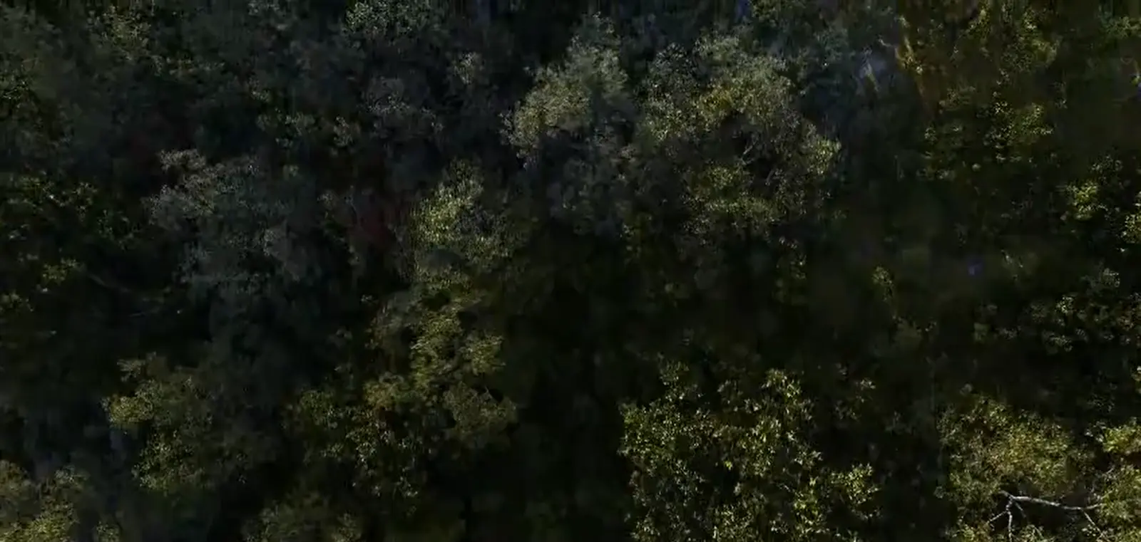 Altaira hilltop resort